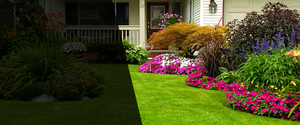 Safford Landscapers