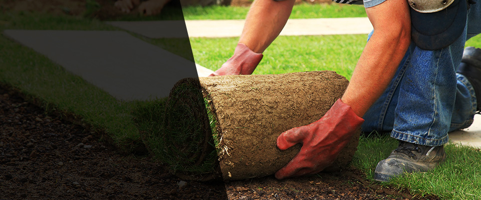 Safford Landscapers